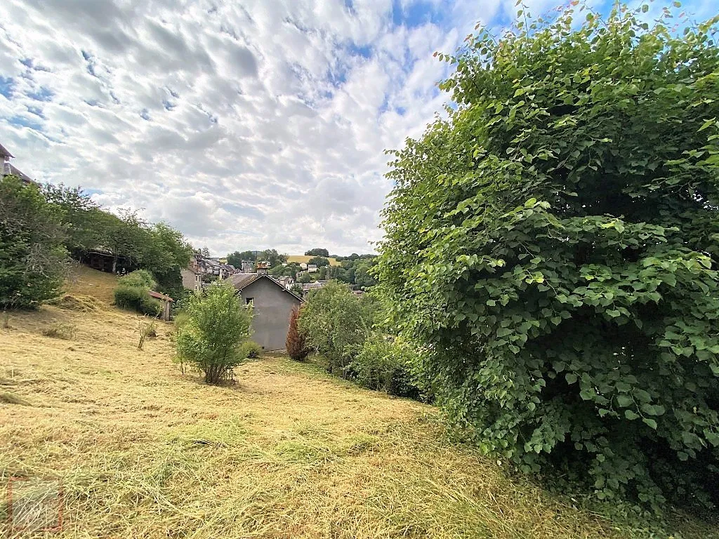 MAISON EN PIERRE AVEC 1600M² DE TERRAIN