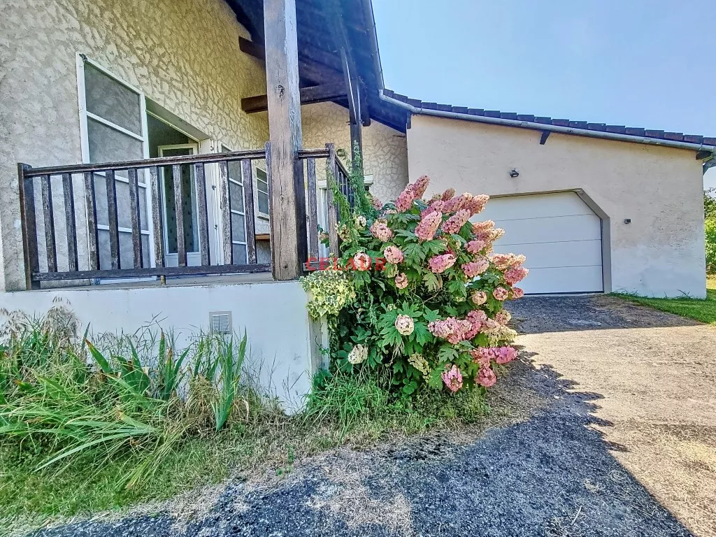 LARGE SINGLE-STOREY HOUSE - Dupli