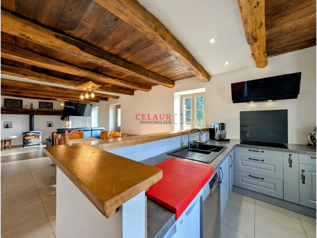 RENOVATED STONE HOUSE - Dupli