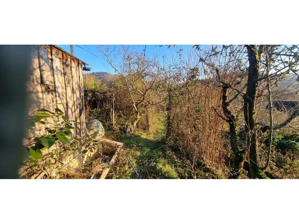 Terrain à bâtir sur des hauteurs