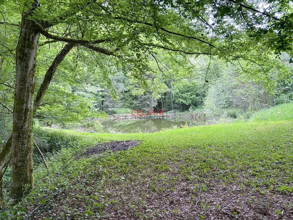 Sans voisins, sur 1 ha de terrain, maison et dépendance avec étang