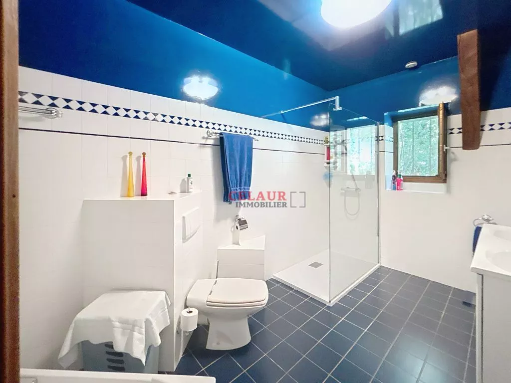 ENSEMBLE DE CARACTERE AVEC PISCINE SUR 1HA